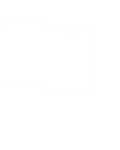 history_flag
